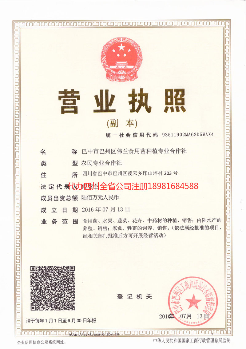 广元广元伟兰食用菌种植专业合作社